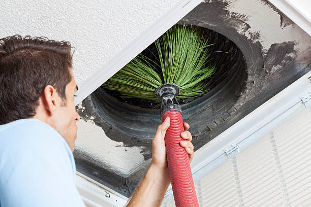 Best Air Vent Cleaning Services  in Belton, MO